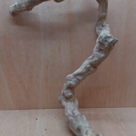 Java Wood - Single Stem - XL 11