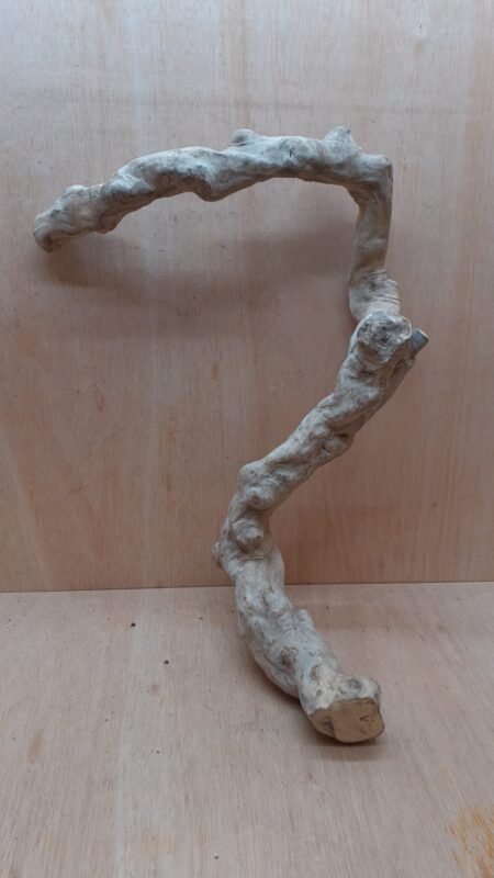 Java Wood - Single Stem - XL 11