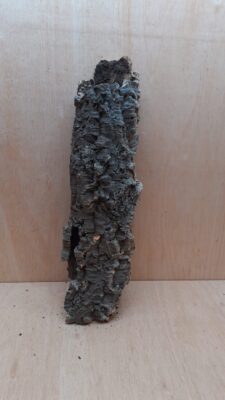 Medium Cork Tube - 40-60cm - 22