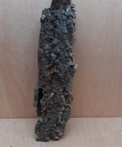 Medium Cork Tube - 40-60cm - 22