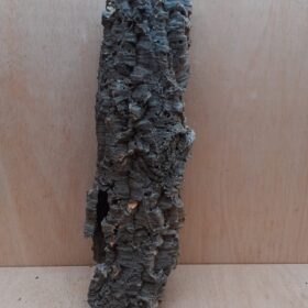 Medium Cork Tube - 40-60cm - 22