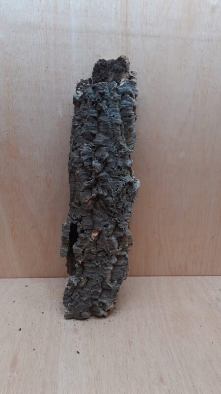 Medium Cork Tube - 40-60cm - 22