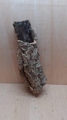 Medium Cork Tube - 40-60cm - 23