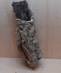 Medium Cork Tube - 40-60cm - 23