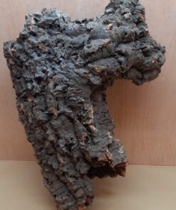 Medium Cork Tube - 40-60cm - 25