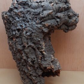 Medium Cork Tube - 40-60cm - 25