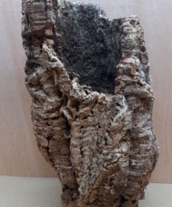Medium Cork Tube - 40-60cm - 26