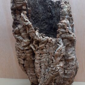 Medium Cork Tube - 40-60cm - 26