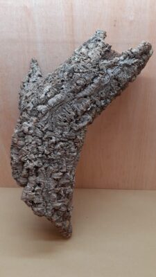 Medium Cork Tube - 40-60cm - 29
