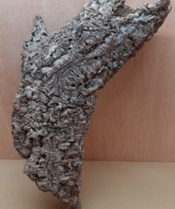 Medium Cork Tube - 40-60cm - 29