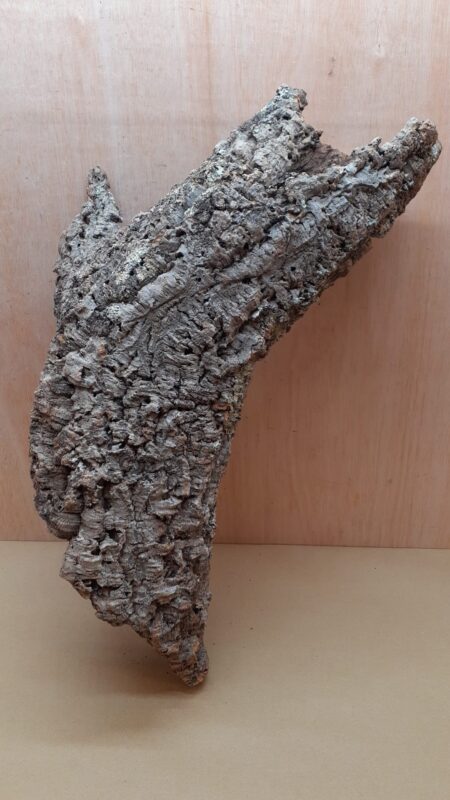 Medium Cork Tube - 40-60cm - 29