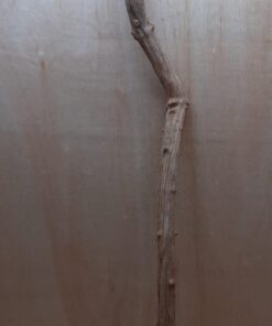 Straight Liana 4-5cm - Long - 17