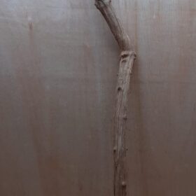 Straight Liana 4-5cm - Long - 17