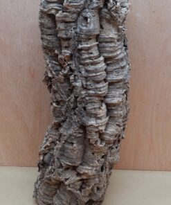 Medium Cork Tube - 40-60cm - 23