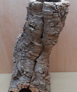 Medium Cork Tube - 40-60cm - 24