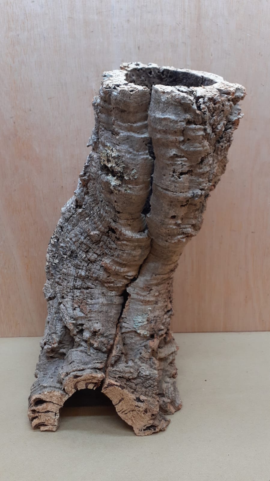Medium Cork Tube - 40-60cm - 24