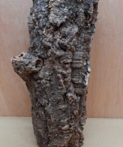 Medium Cork Tube - 40-60cm - 27