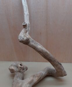 Java Wood - Single Stem - XL 14