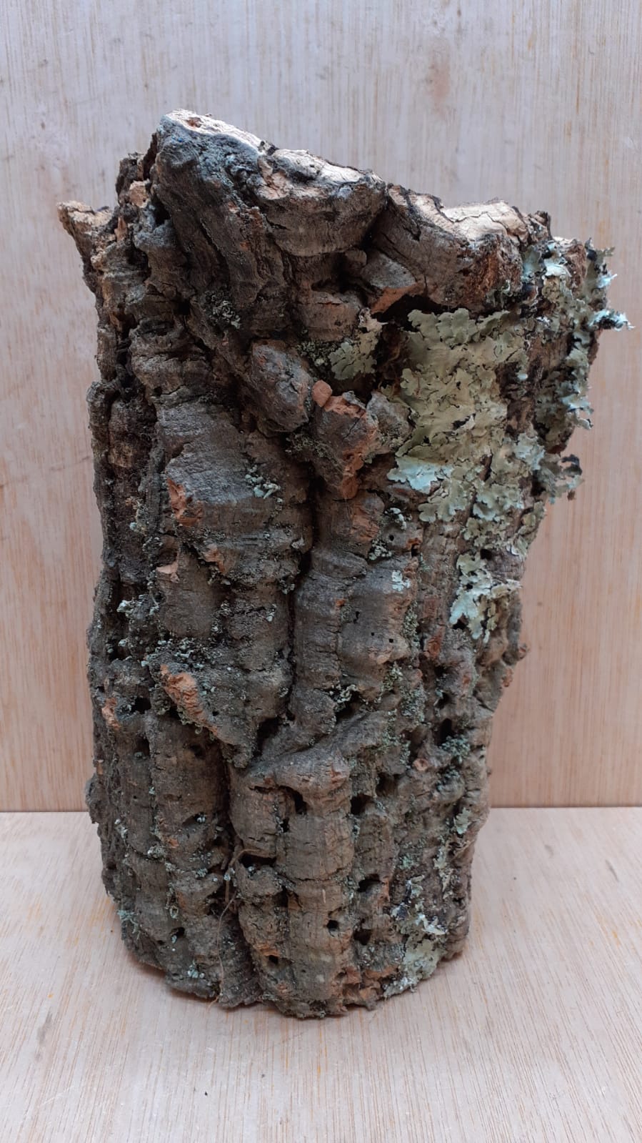 Medium Cork Tube - Upto 40cm - 28