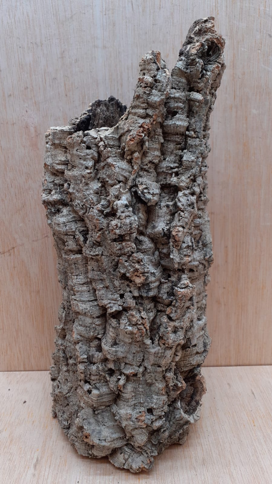 Medium Cork Tube - Upto 40cm - 29