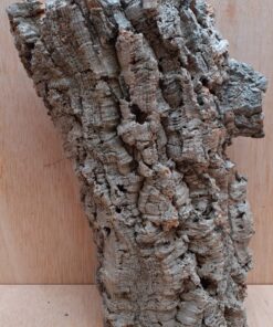 Medium Cork Tube - Upto 40cm - 30