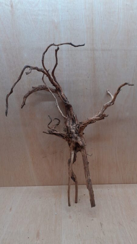 Moorwood - Large 13