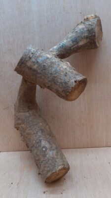 Bamboo Root - Small - 5