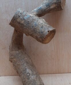 Bamboo Root - Small - 5