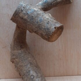 Bamboo Root - Small - 5