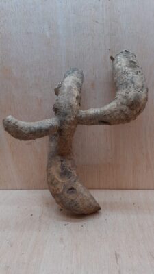 Bamboo Root - Small - 7