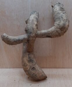 Bamboo Root - Small - 7