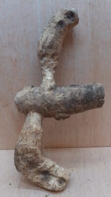 Bamboo Root - Small - 9