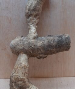 Bamboo Root - Small - 9