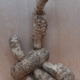 Bamboo Root - Small - 10