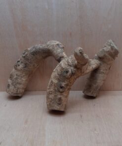 Bamboo Root - Medium - 10