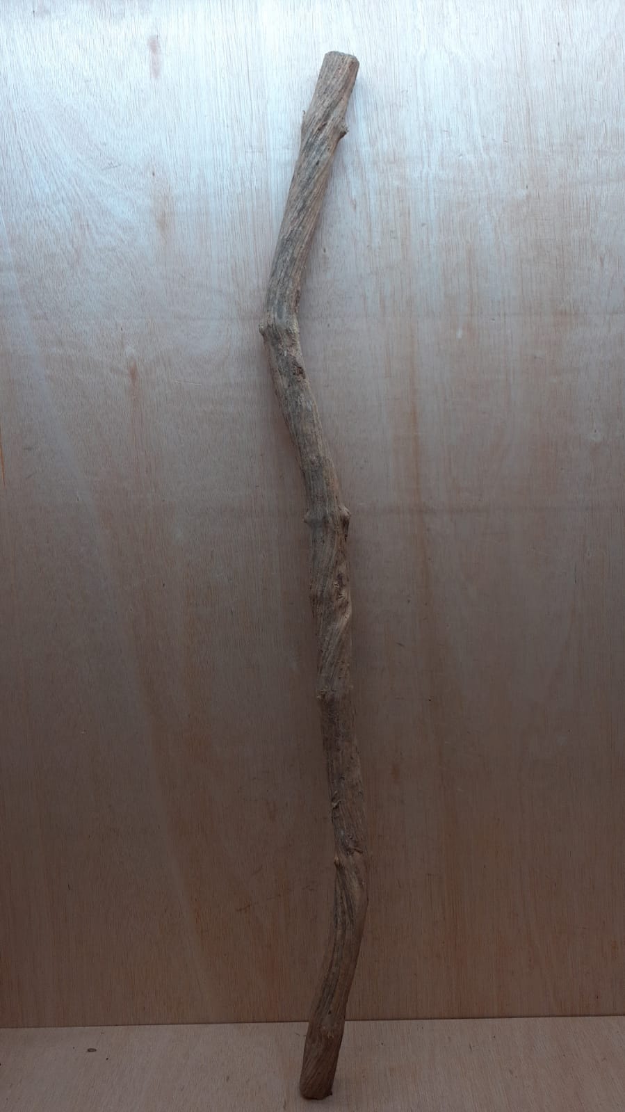 Straight Liana 4-5cm - Long - 19