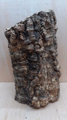 Large Cork Tube - Upto 40cm - 19