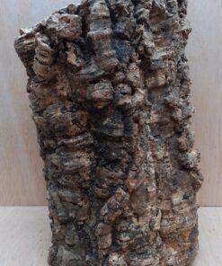 Large Cork Tube - Upto 40cm - 19