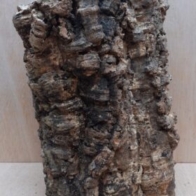 Large Cork Tube - Upto 40cm - 19