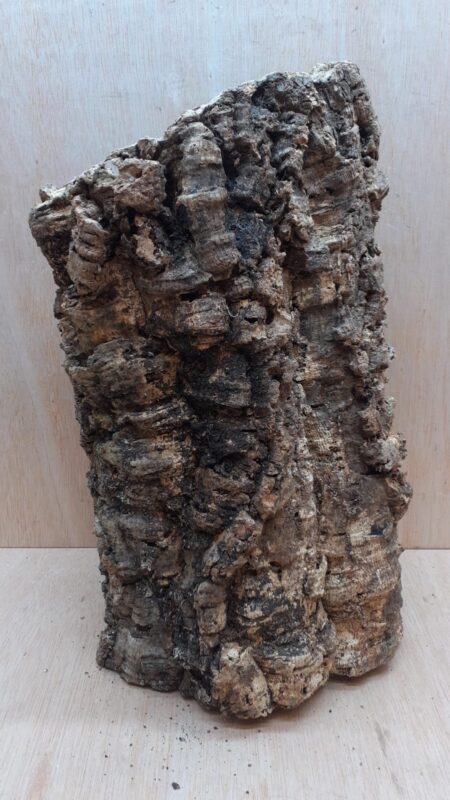 Large Cork Tube - Upto 40cm - 19