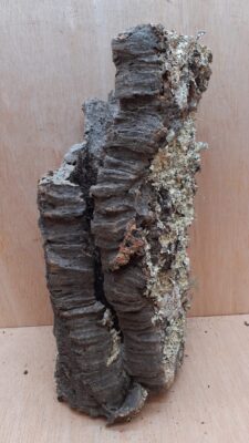 Large Cork Tube - Upto 40cm - 21