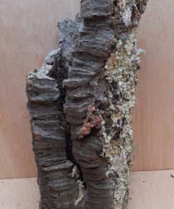 Large Cork Tube - Upto 40cm - 21