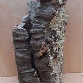 Large Cork Tube - Upto 40cm - 21