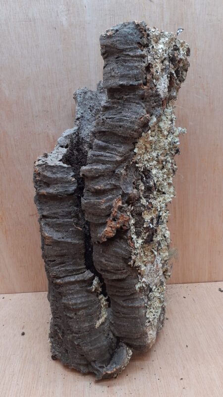 Large Cork Tube - Upto 40cm - 21