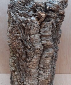 Large Cork Tube - Upto 40cm - 24