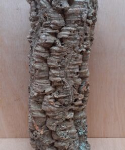 Large Cork Tube - Upto 40cm - 25