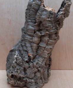 Large Cork Tube - Upto 40cm - 26