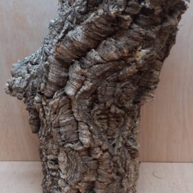 Large Cork Tube - Upto 40cm - 27