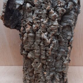 Large Cork Tube - Upto 40cm - 28