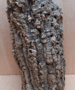 Large Cork Tube - Upto 40cm - 29